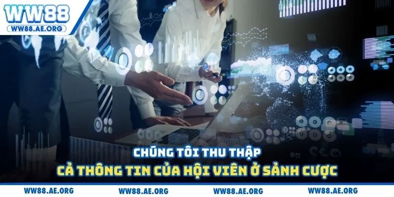 Chúng tôi thu thập cả thông tin của hội viên ở sảnh cược