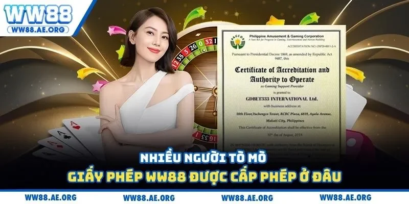 Nhiều người tò mò giấy phép WW88 được cấp phép ở đâu